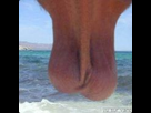 https://image.noelshack.com/minis/2018/29/1/1531728753-48a959373183249e5ae0448584ced6cccb9b9902-full.png