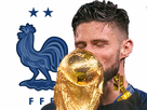 https://image.noelshack.com/fichiers/2018/29/1/1531752099-giroud-cdm.png