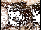 https://image.noelshack.com/fichiers/2018/29/1/1531764050-chat5.gif