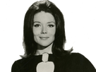 https://image.noelshack.com/fichiers/2018/29/2/1531861835-emmapeel3.png