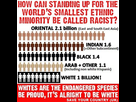 https://image.noelshack.com/minis/2018/29/3/1531903486-white-genocide1.png