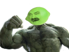 https://image.noelshack.com/fichiers/2018/29/3/1531920629-hulkcitron.png