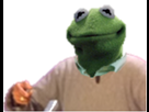 https://image.noelshack.com/fichiers/2018/29/3/1531941908-kermit.png
