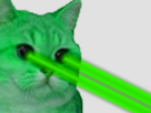 https://image.noelshack.com/fichiers/2018/29/4/1531957849-1516048992-chat-laser-rouge.png