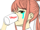 https://image.noelshack.com/fichiers/2018/29/4/1531996621-monika8.png