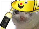 https://image.noelshack.com/minis/2018/29/6/1532207970-chat.png