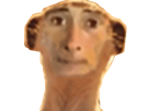 https://image.noelshack.com/fichiers/2018/29/7/1532220188-1530690303-hervecat.png