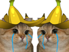 https://image.noelshack.com/minis/2018/29/7/1532248650-chat-banane-2.png