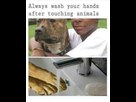 https://image.noelshack.com/minis/2018/30/1/1532381716-wclbyyk.png