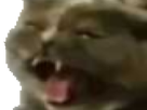 https://image.noelshack.com/fichiers/2018/30/3/1532470574-1529435701-kitt4v2.png