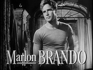 https://www.noelshack.com/2018-30-5-1532694235-310px-marlon-brando-in-streetcar-named-desire-trailer.jpg