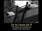 https://image.noelshack.com/fichiers/2018/30/5/1532704483-01.png