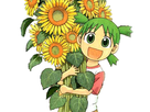 https://image.noelshack.com/fichiers/2018/30/6/1532735582-yotsuba.png