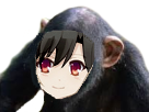 https://image.noelshack.com/minis/2018/30/6/1532804309-singe-illya.png