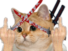 https://image.noelshack.com/fichiers/2018/30/6/1532808027-chatkatanafuck.png