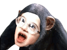 https://image.noelshack.com/minis/2018/31/5/1533291699-1496602541-singeeussou.png