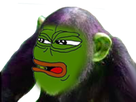 https://image.noelshack.com/fichiers/2018/31/5/1533292501-pepetres.png