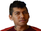 https://image.noelshack.com/fichiers/2018/31/6/1533409570-firmino-6.png