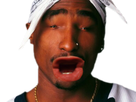 https://image.noelshack.com/fichiers/2018/31/7/1533483204-2pac-eussou.png