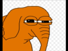 https://image.noelshack.com/fichiers/2018/32/3/1533725660-elephant.png