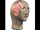 https://image.noelshack.com/minis/2018/32/3/1533764466-surrealsueur.png
