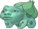 https://image.noelshack.com/fichiers/2018/32/4/1533822279-img-2424.png