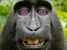 https://image.noelshack.com/fichiers/2018/32/5/1533908576-cover-r4x3w1000-59ba79b28b44f-naruto.png