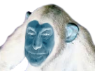 https://image.noelshack.com/minis/2018/32/7/1534033711-jesing.png
