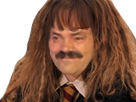 https://image.noelshack.com/fichiers/2018/33/3/1534332663-hermione.png