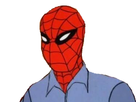 https://image.noelshack.com/fichiers/2018/33/4/1534371320-spidey-cache.png