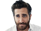 https://image.noelshack.com/fichiers/2018/33/4/1534427544-jake-gyllenhaal-net-worth-e1501050853445.jpg