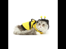 https://image.noelshack.com/fichiers/2018/33/6/1534620563-bumblebee-sitting-grande.jpg