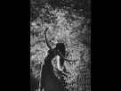 https://image.noelshack.com/fichiers/2018/33/7/1534682539-img-0950.jpg