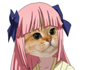 https://image.noelshack.com/fichiers/2018/33/7/1534688680-1534198173-mariko-chat.png