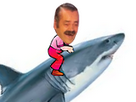 https://image.noelshack.com/fichiers/2018/33/7/1534690852-img-2334.png
