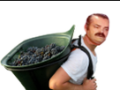 https://image.noelshack.com/minis/2018/33/7/1534713258-risitasporteur.png
