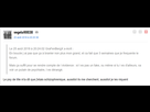 https://image.noelshack.com/fichiers/2018/34/7/1535278291-vgeetoshizo.png
