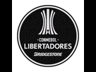 https://image.noelshack.com/fichiers/2018/35/2/1535473626-1535287359-copa-libertadores.png