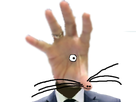 https://image.noelshack.com/fichiers/2018/35/4/1535647356-macron-mains-monstre-zoom.png