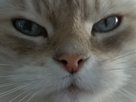 https://image.noelshack.com/fichiers/2018/35/5/1535731180-67515-full.jpg