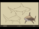 https://www.noelshack.com/2018-35-5-1535740758-concept-maneater-bull-shark-adult-color.jpg