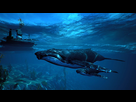 https://www.noelshack.com/2018-35-5-1535741152-screen-humpback-whale-pod.jpg