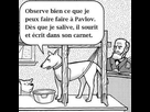 https://image.noelshack.com/fichiers/2018/35/7/1535881998-01.jpg