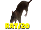 https://image.noelshack.com/fichiers/2018/36/1/1536002130-tison-avn-avenoel-rat-1.png