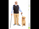 https://image.noelshack.com/fichiers/2018/36/2/1536062782-blind-person-holding-walking-stick-dog-25900246.jpg