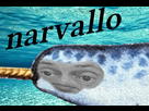 https://image.noelshack.com/minis/2018/36/3/1536154460-narvallo.png