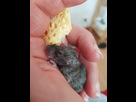 Rat ou souris? 1536381083-20180904-154919