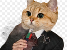 https://image.noelshack.com/fichiers/2018/36/6/1536410963-image.jpg