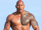 https://image.noelshack.com/fichiers/2018/37/1/1536615031-baywatch-the-rock-810x610.jpg