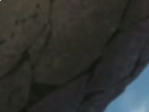https://image.noelshack.com/fichiers/2018/37/2/1536688218-7-qa3xsr6b.png